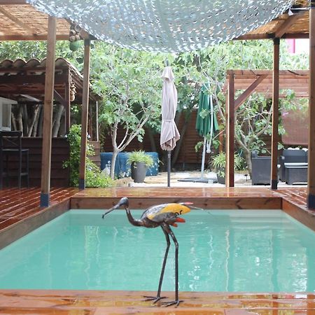 Les 2 Droles D'Oiseaux Bed & Breakfast Luc-sur-Orbieu Luaran gambar